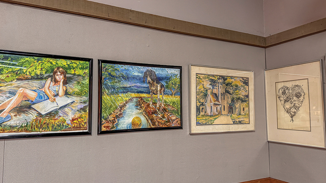 cashiers-nc-albert-carlton-library-duncan-greenlee