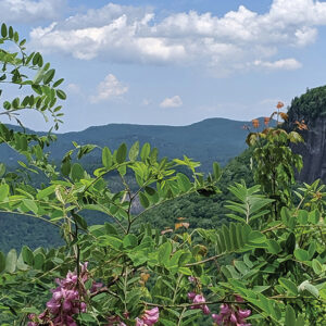 highlands-cashiers-land-trust-view