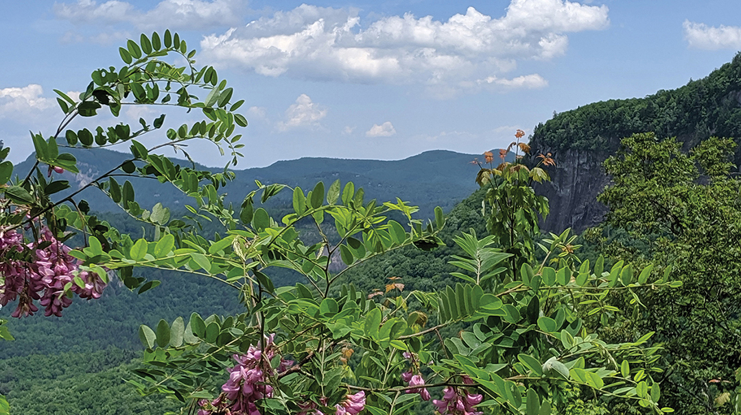 highlands-cashiers-land-trust-view