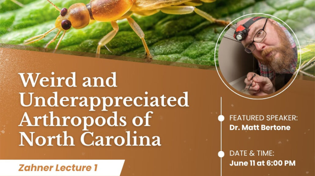 highlands-nc-nature-center-zahner-conservation-lecture-series-weird-underappreciated-athropods-matt-bertone