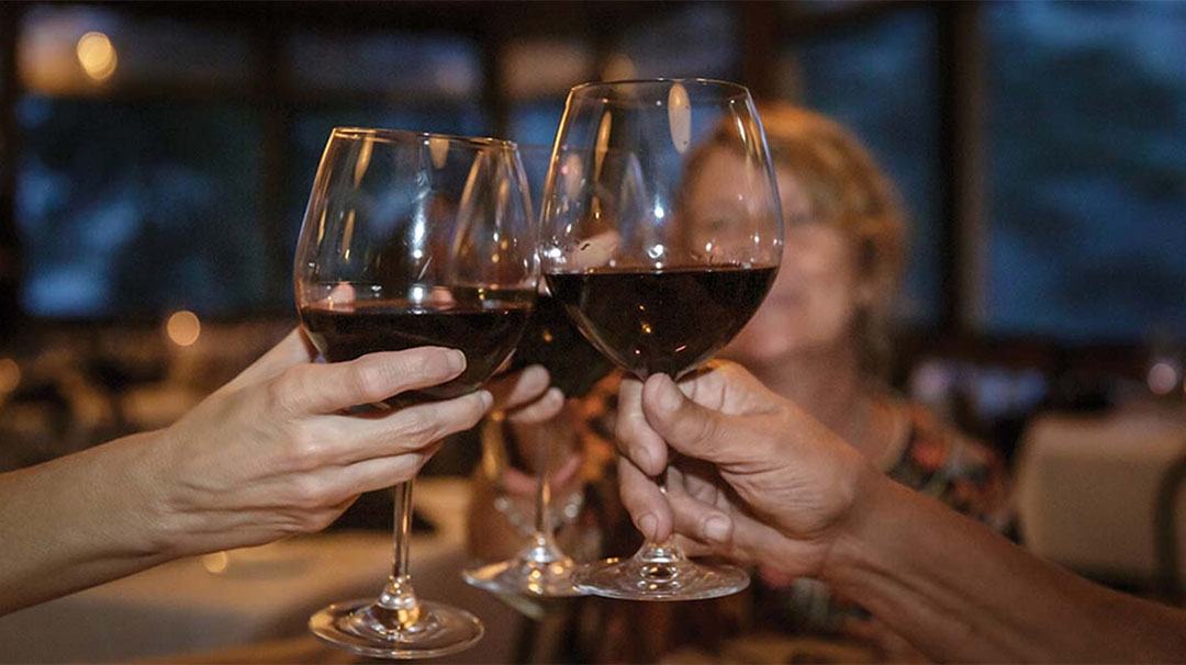 highlands-nc-on-the-verandah-wine-dinner-toast