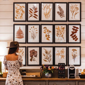 highlands-nc-shopping-acorns-southern-botantics