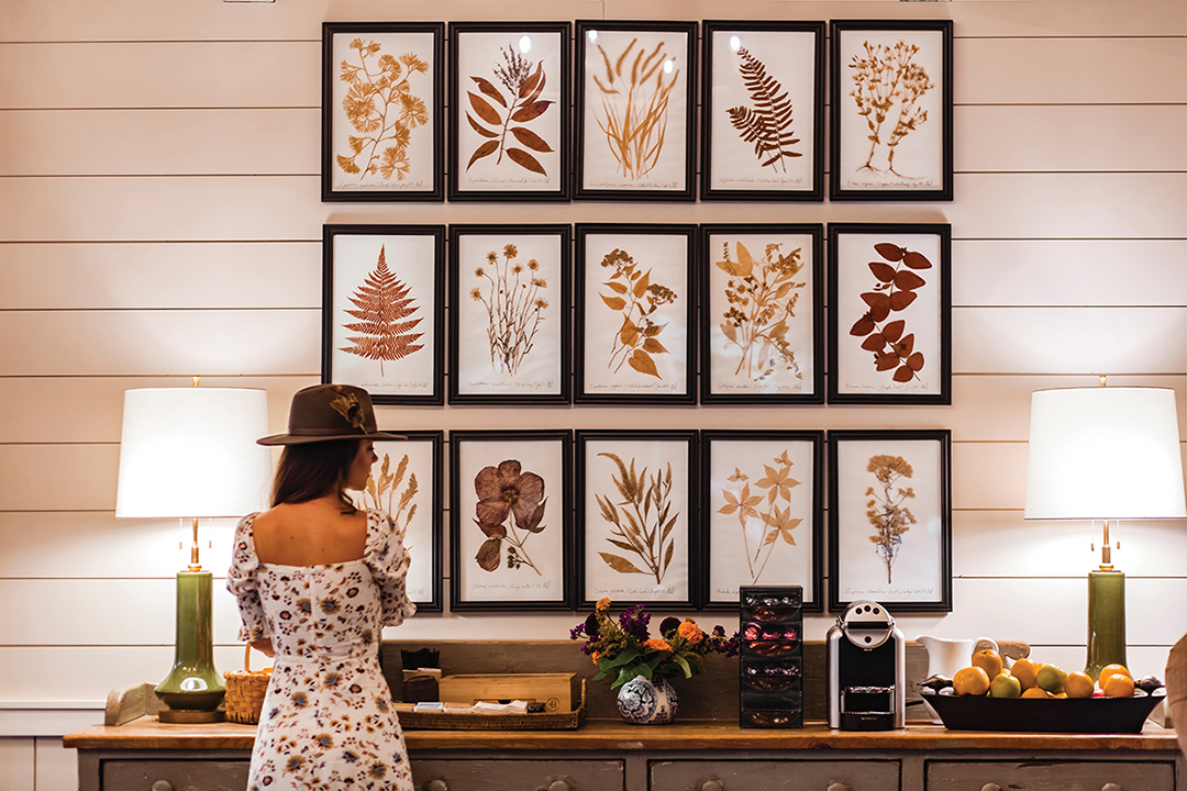 highlands-nc-shopping-acorns-southern-botantics