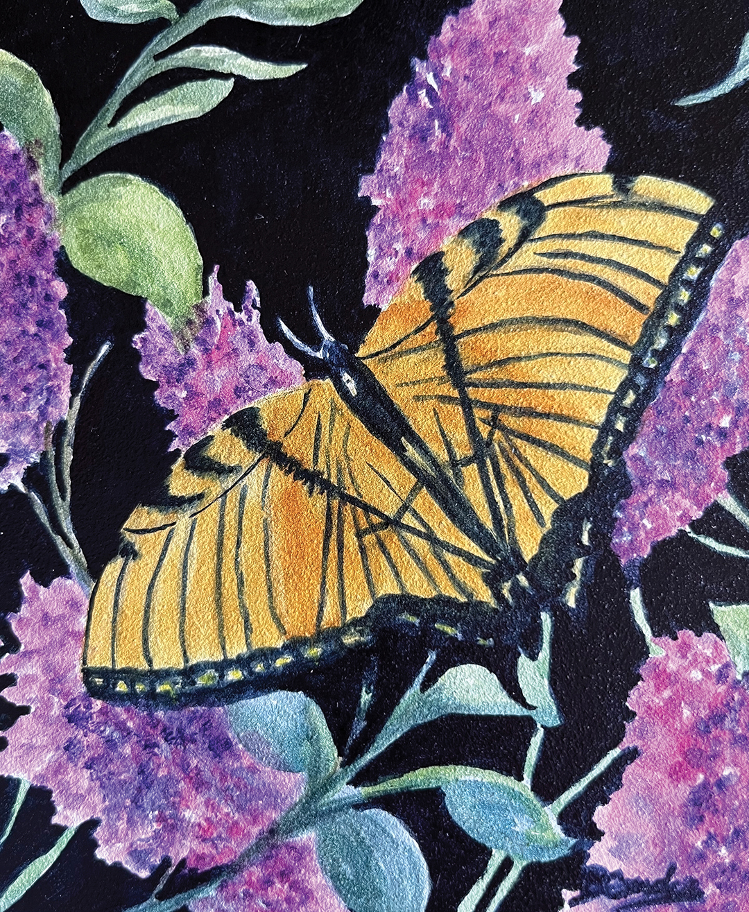 Butterfly-Bette.jpg
