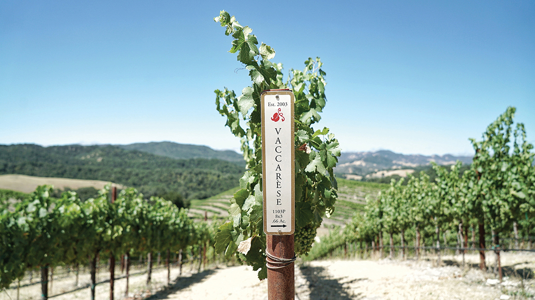 Tablas-Creek-Vaccarese-Sign