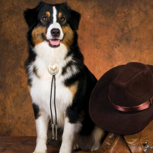 cashiers-highlands-humane-society-paws-boots.jpg