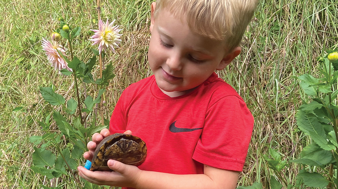highlands-nc-catching-up-with-Grayson-turtle