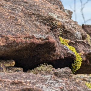 highlands-nc-land-trust-rattlesnake-crevice
