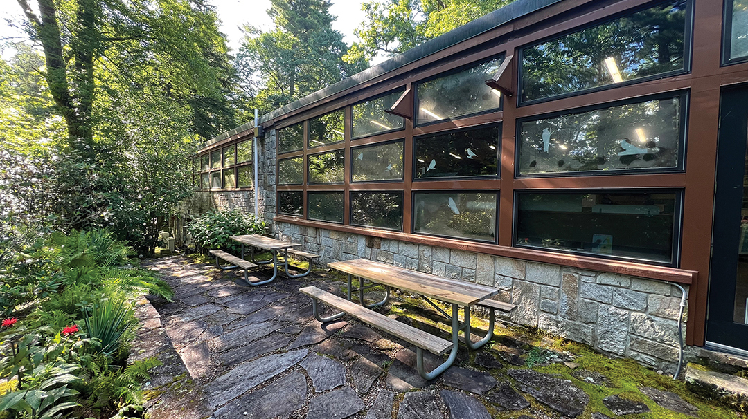 highlands-nc-nature-center-back-Maddie-Wikstrom