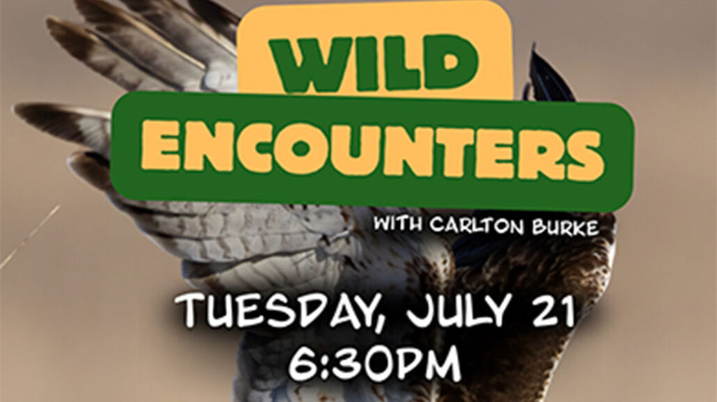 highlands-nc-nature-center-wild-encounters-7-21