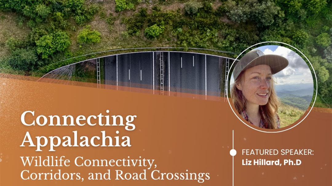 highlands-nc-nature-center-zahner-lecture-series-connecting-appalachia-liz-hillard