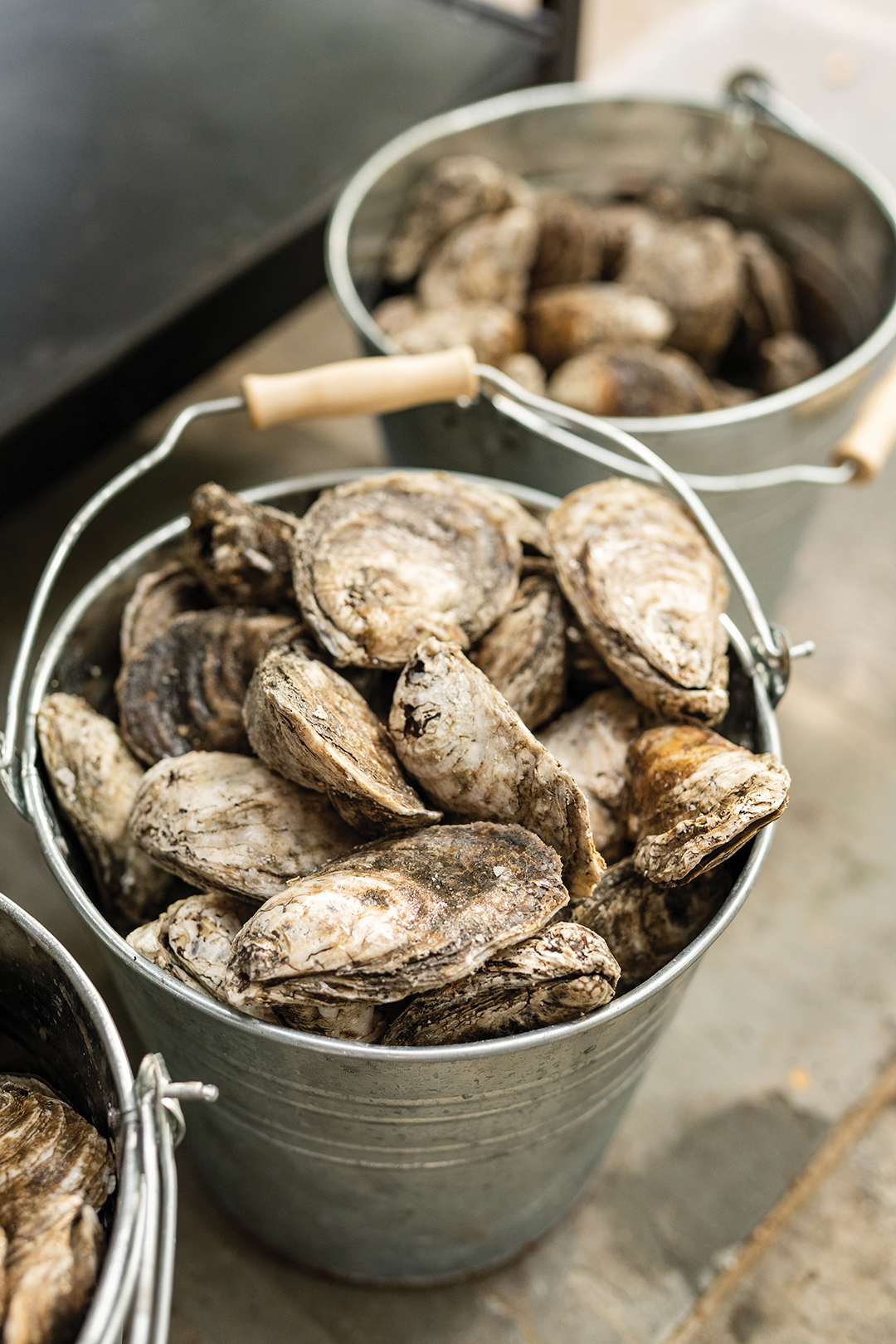 highlands-nc-old-edwards-oysterfest-shells