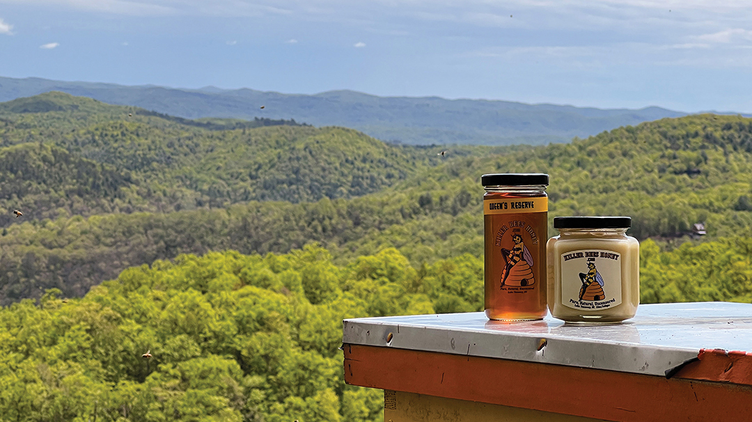 highlands-nc-shopping-acorns-killer-bees-honey.jpg