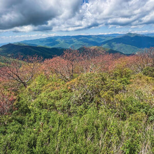 mount-pisgah-view