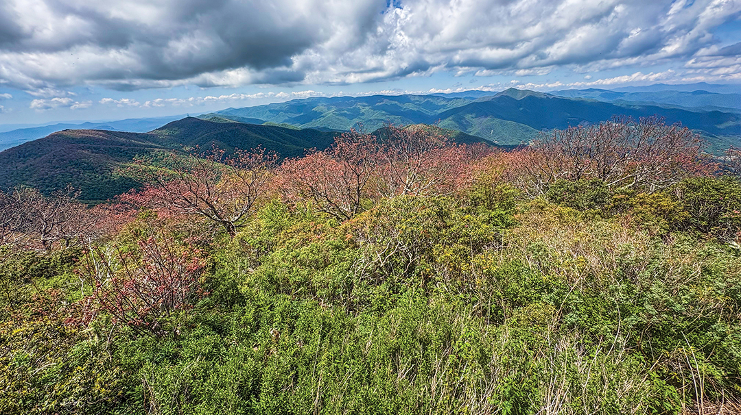 mount-pisgah-view