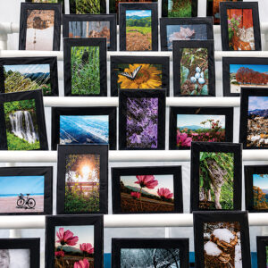 sapphire-valley-arts-crafts-photographer