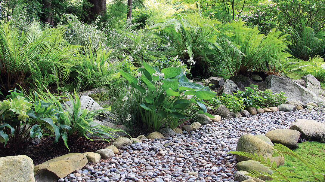 stock-shade-garden.jpg