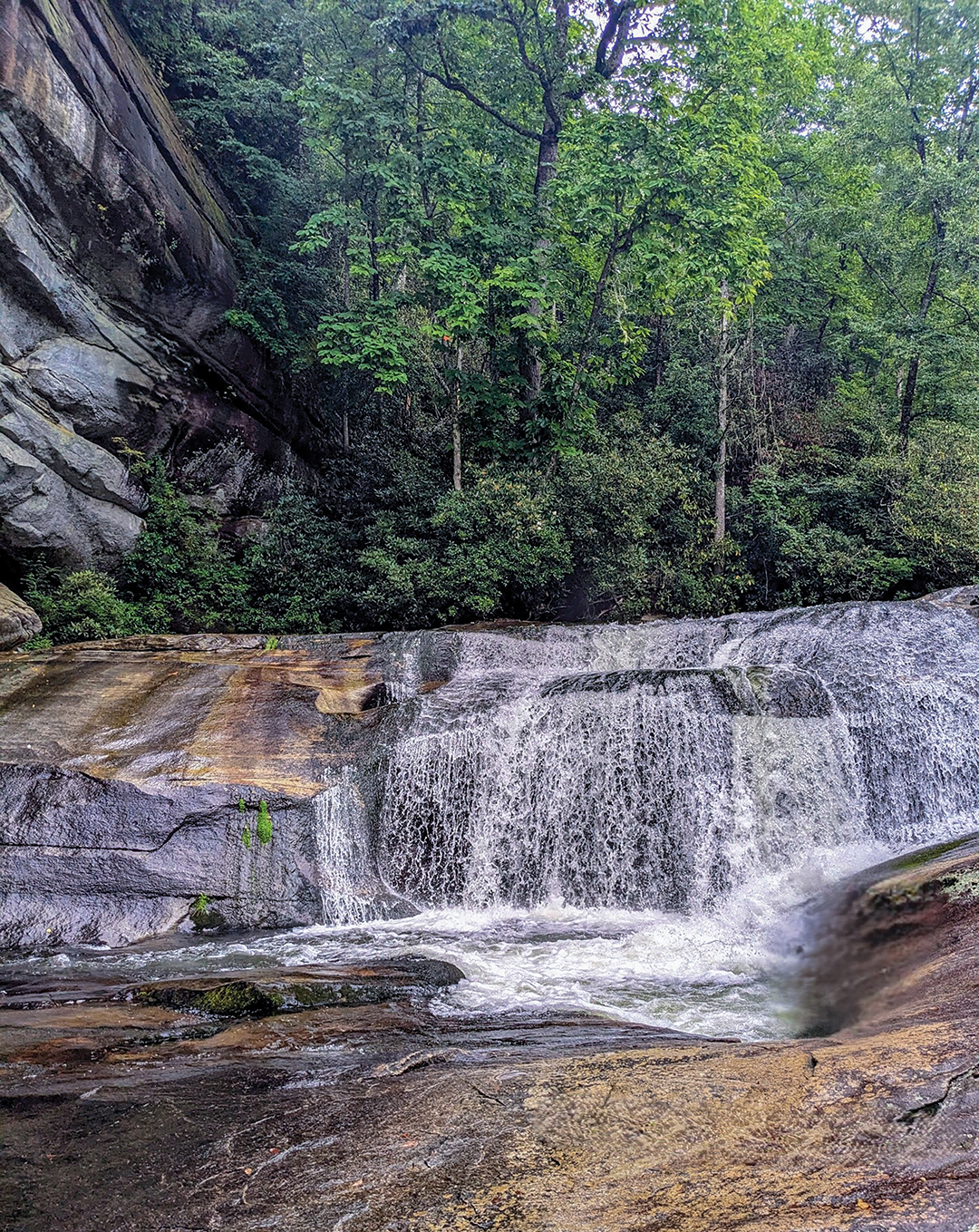 Bird-Rock-Falls_Cathedral-Falls-w-Rock-Wall.jpg
