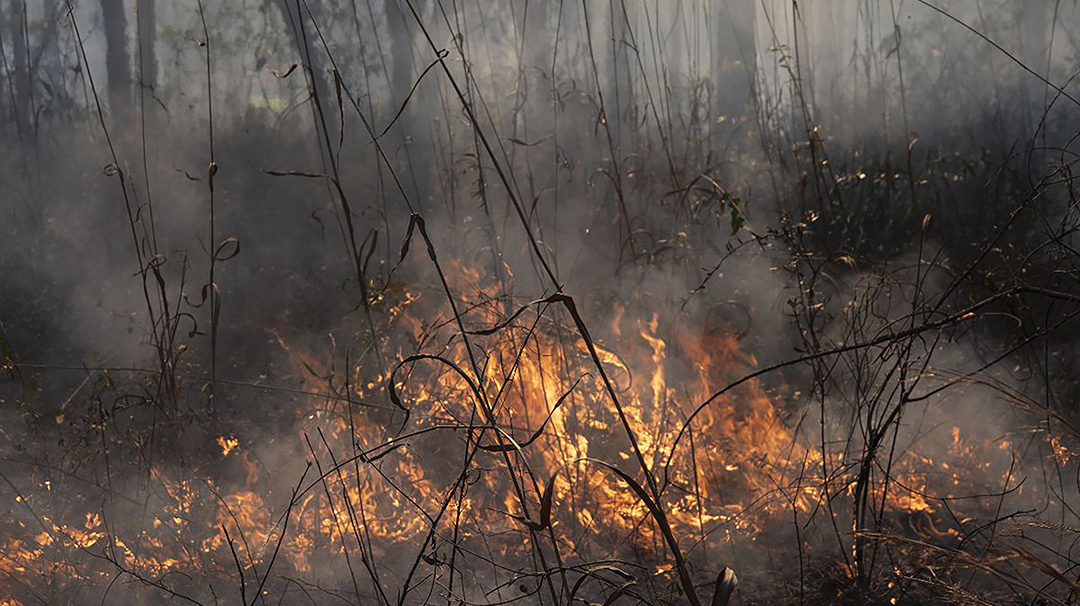 anna_gage_norton-head-fire