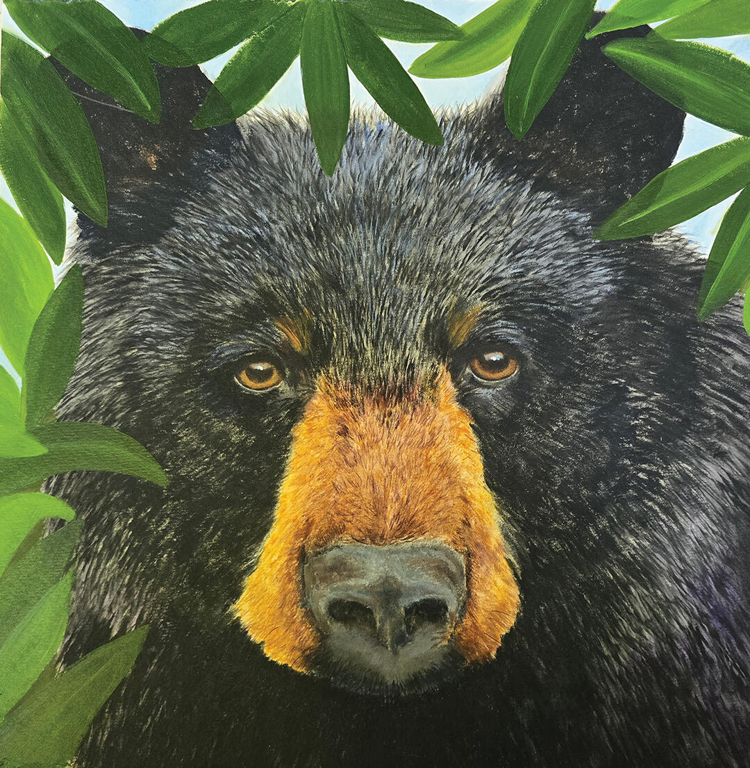 artist christine hyde replacement bear