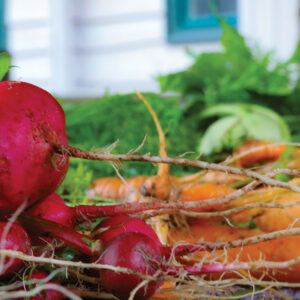 cashiers-nc-green-market-beets 2