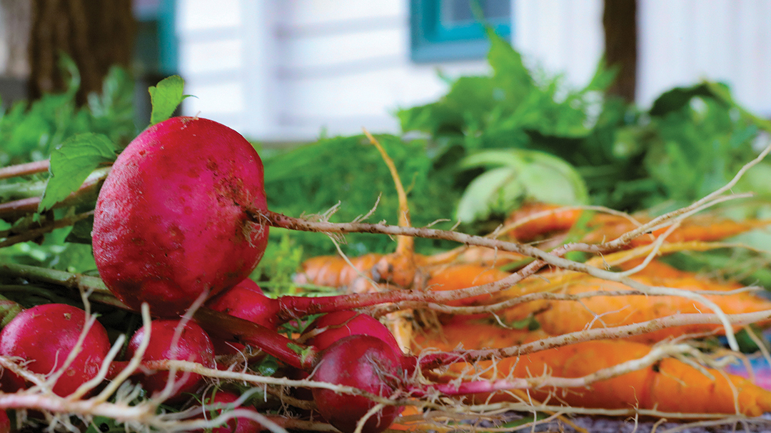 cashiers-nc-green-market-beets 2