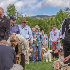 cashiers-nc-village-green-blessing-of-animals-crowd