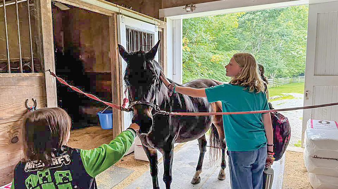 highlands-nc-carpe-diem-farms-petting