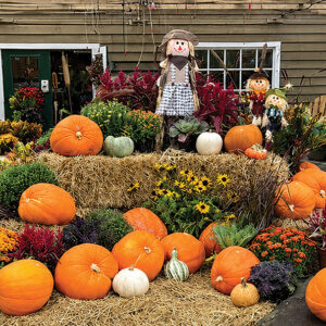 lake-toxaway-nc-whistlin-dixie-front-fall