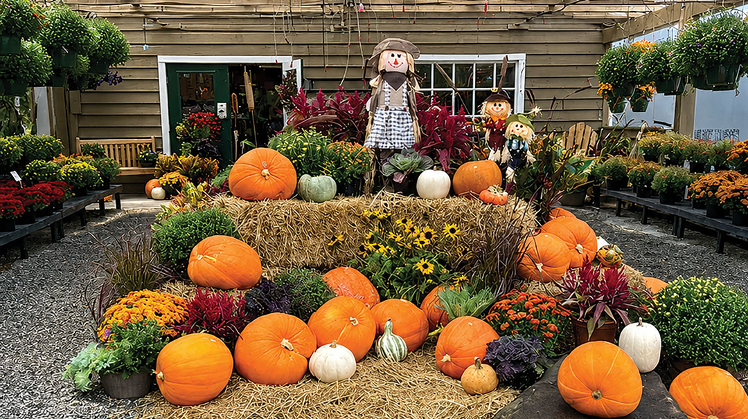 lake-toxaway-nc-whistlin-dixie-front-fall