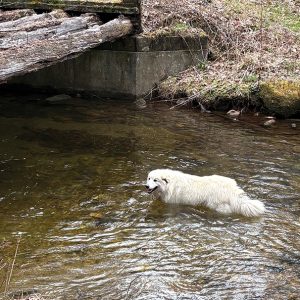 buck-creek-highlands-nc