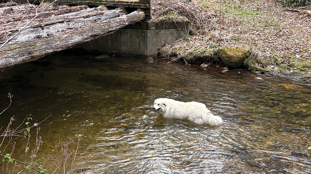 buck-creek-highlands-nc