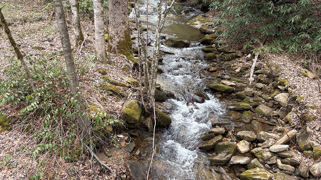 buck-creek-stream-highlands-nc