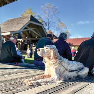 cashiers-nc-blessing-of-the-animals-doggies