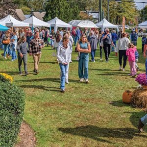 cashiers nc leaf festival village green