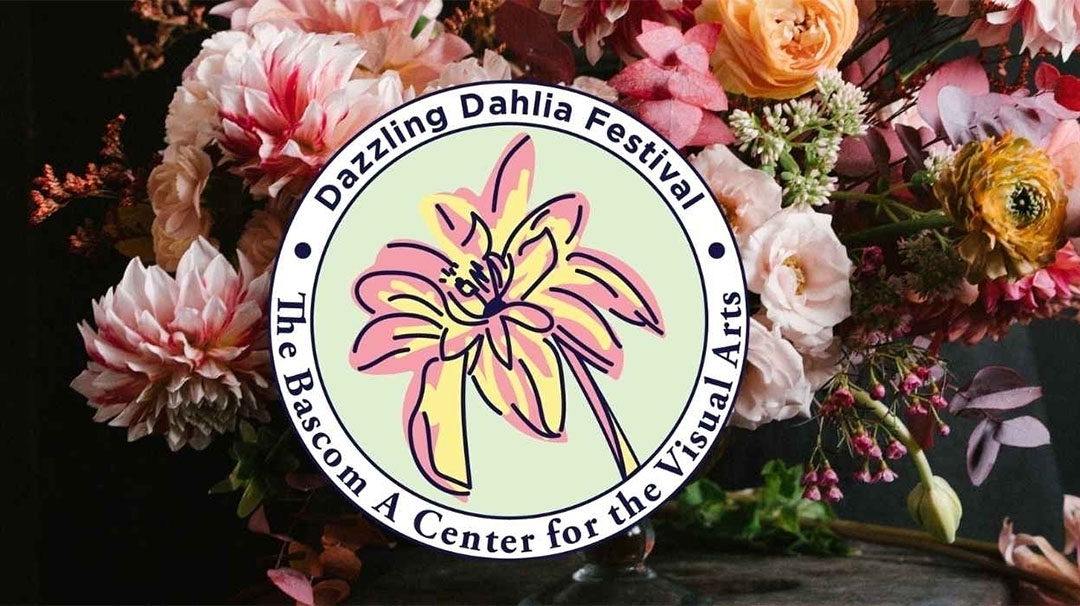 highlands-nc-bascom-visual-arts-dahlia-festival-petals-perspective