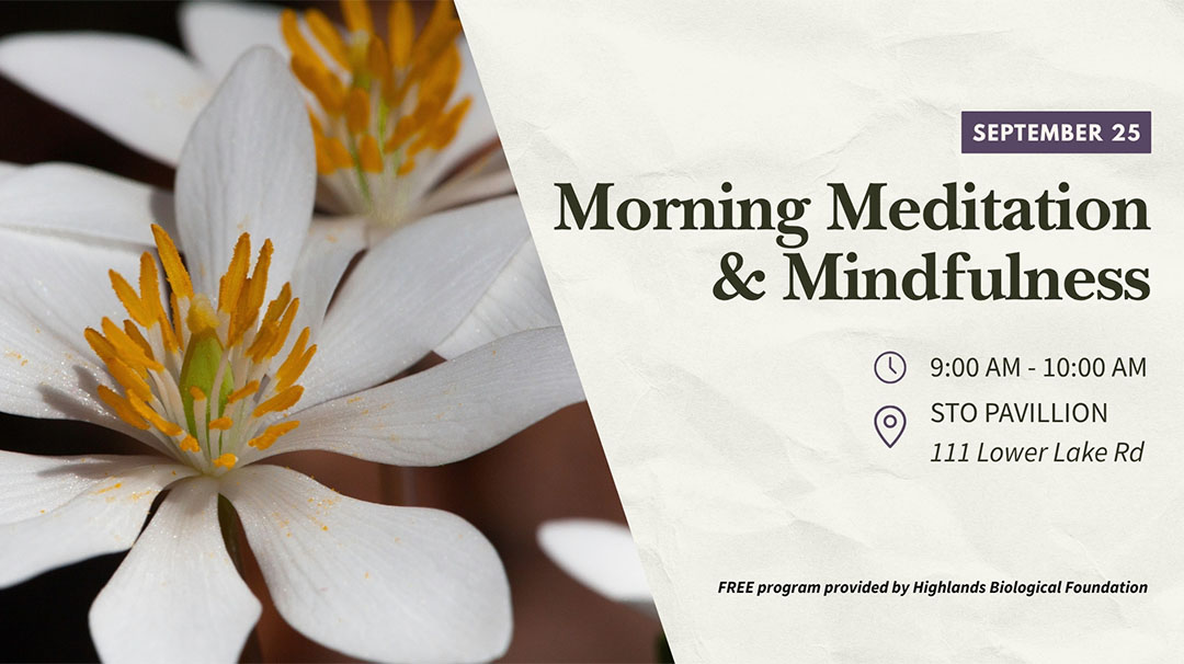 highlands-nc-biological-station-morning-meditation-mindfulness