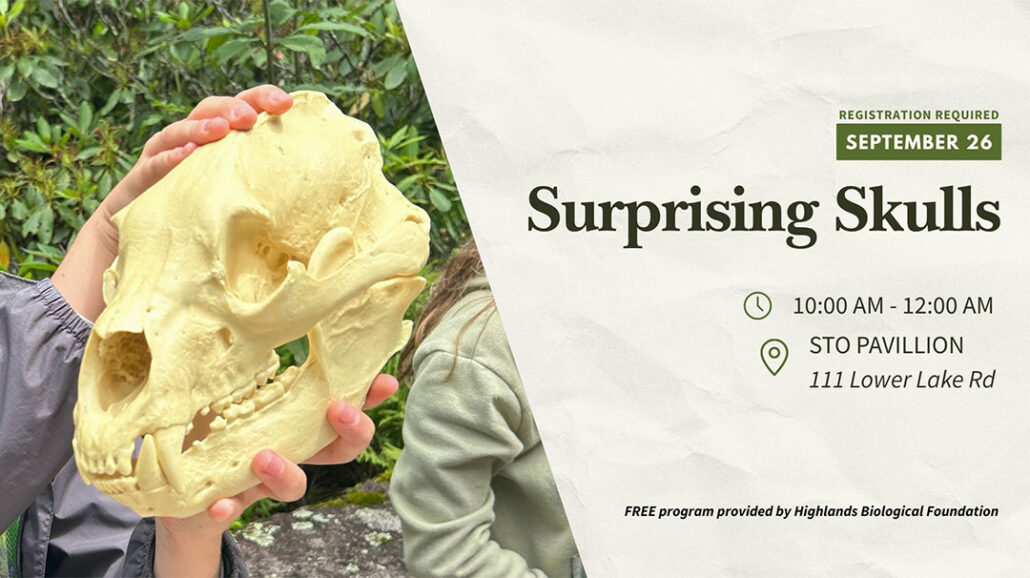highlands-nc-biological-station-surprising-skulls