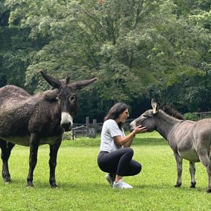 highlands-nc-donkey-woman-satolah-farm-1.jpg