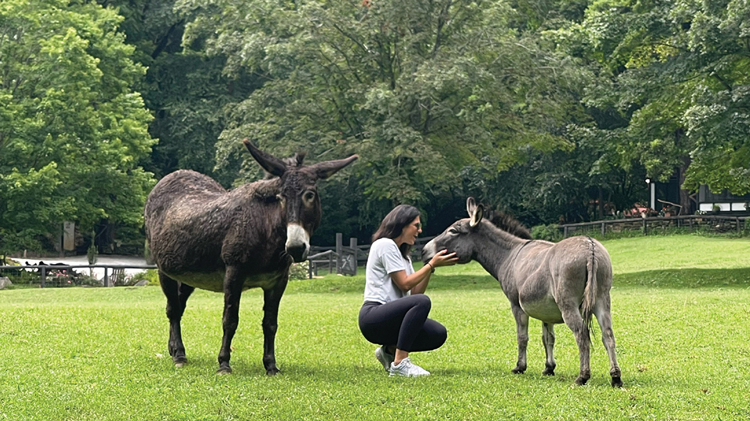 highlands-nc-donkey-woman-satolah-farm-1.jpg