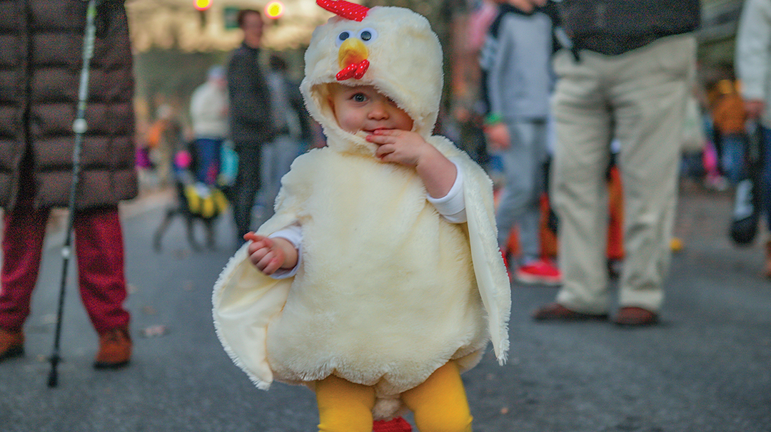 highlands-nc-halloween-baby-chick