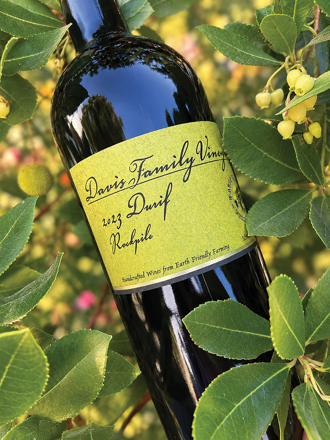 highlands-nc-high-country-wine-Durif