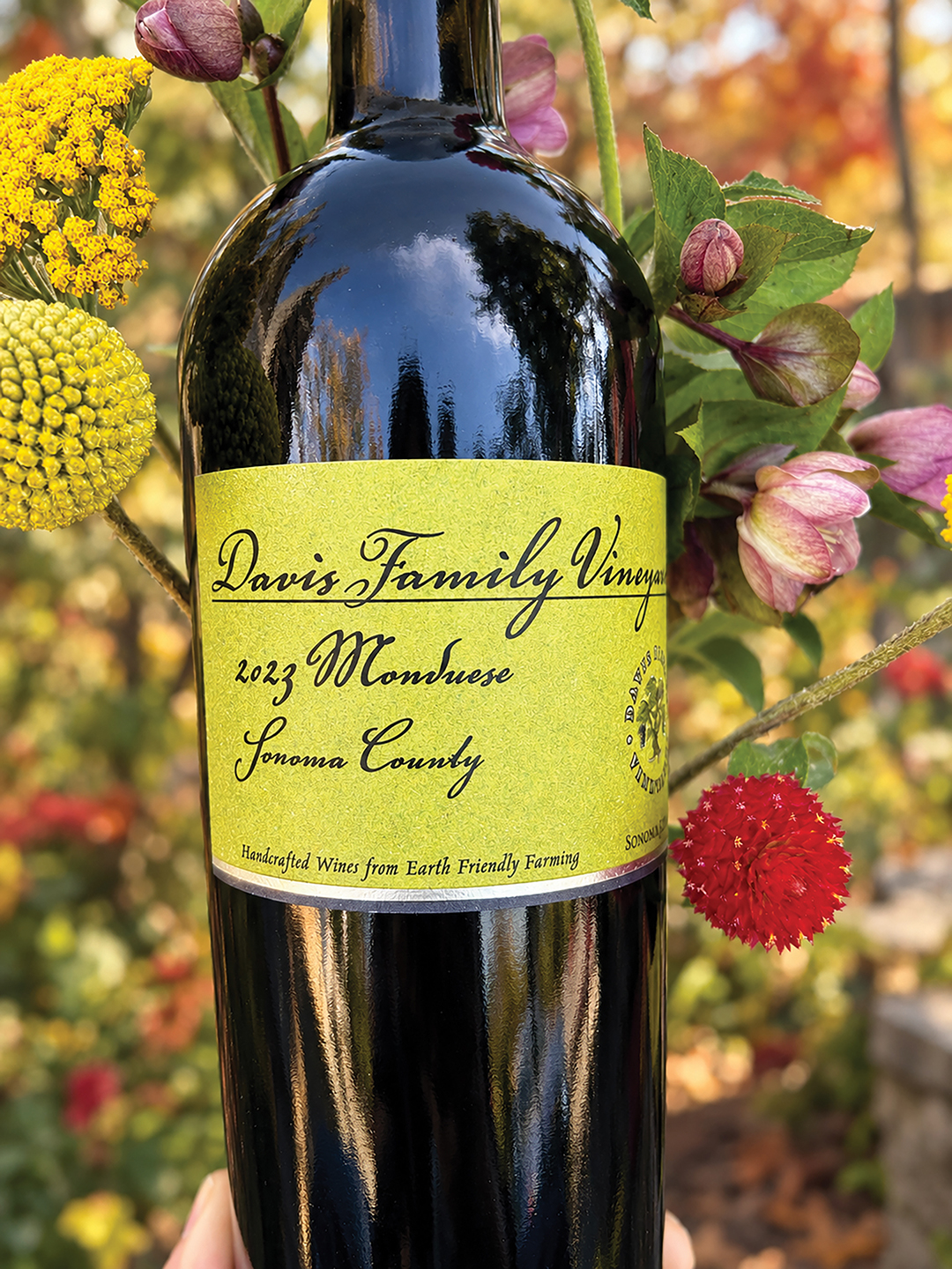 highlands-nc-high-country-wine-Monduese