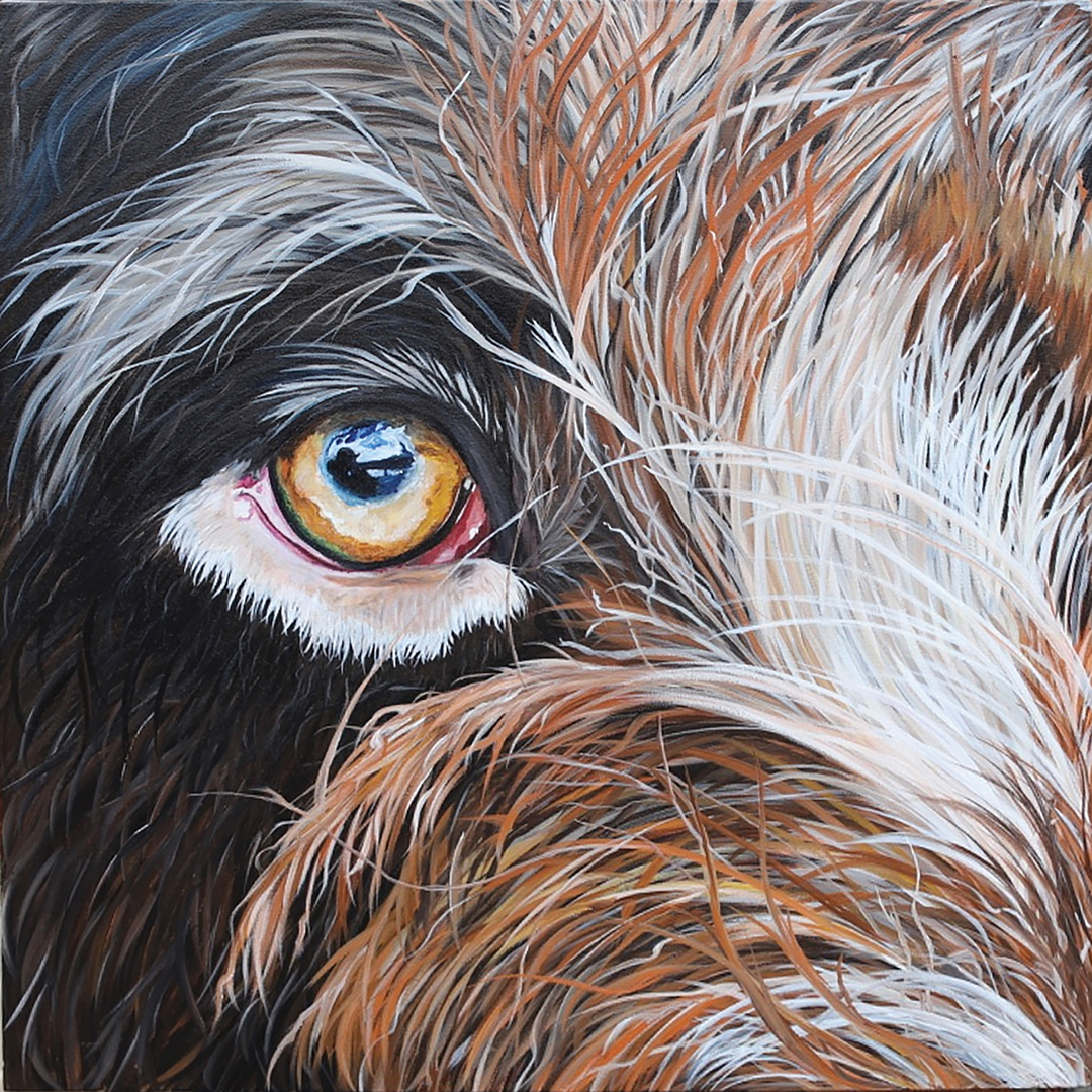 jeanie-edwards-doggie-eye