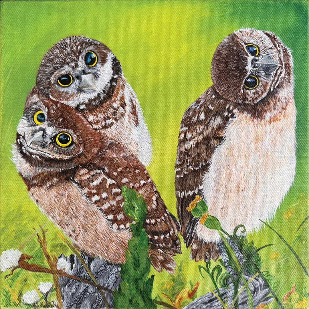 jeanie-edwards-owls