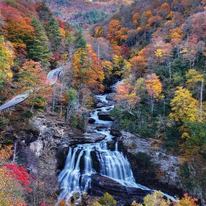 my-divine-landscapes-gorge-road-1.jpg