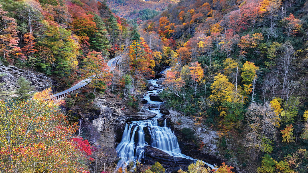my-divine-landscapes-gorge-road-1.jpg