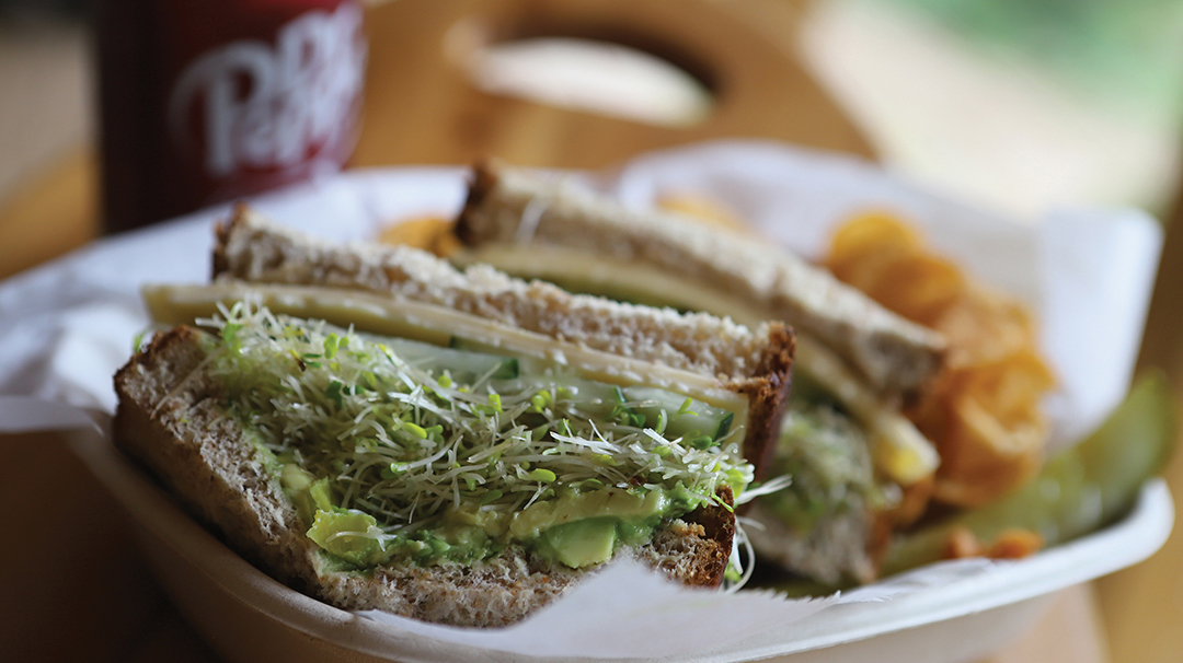 rosman-nc-dining-dilly-deli-green