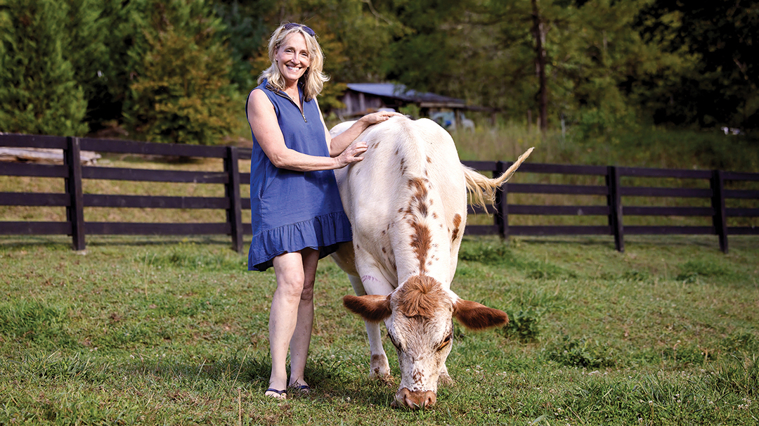 satolah-creek-farms-holy-cow